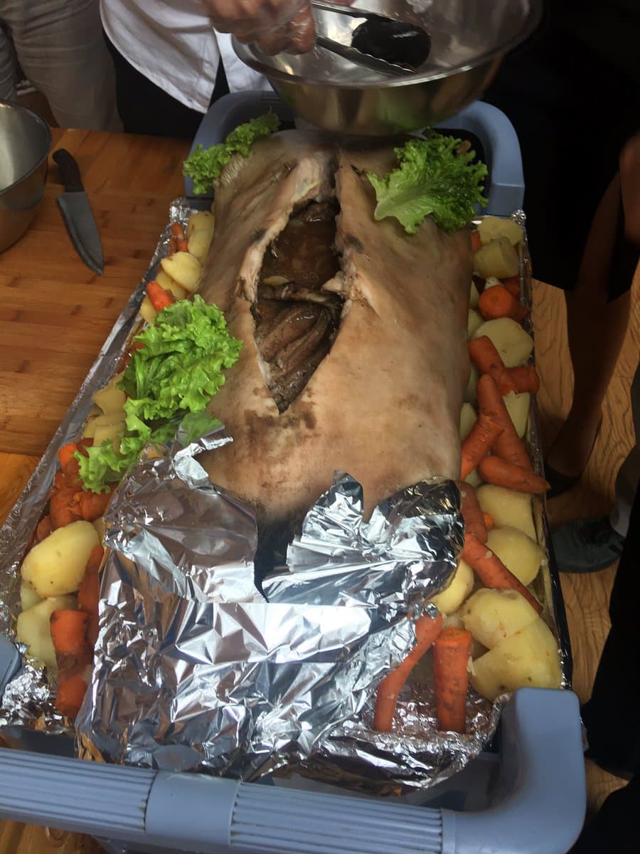 Boodog Demonstration (Special Request)