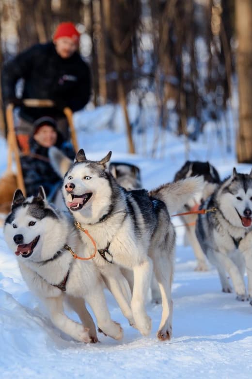 Ulaanbaatar – Terelj National Park photo