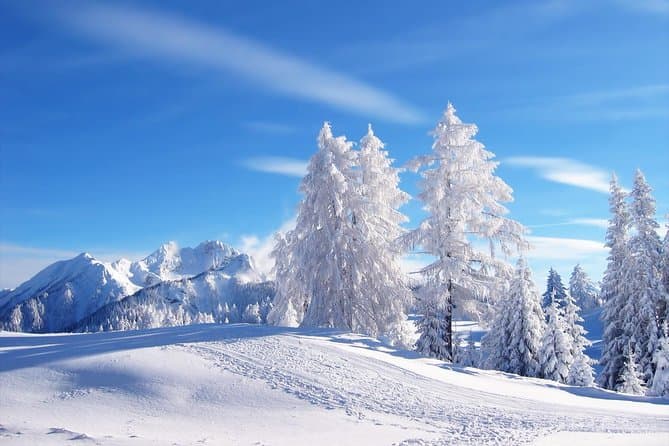 Winter Wonderland Tour